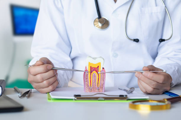Best Emergency Care for Gum Disease in Solomon, KS